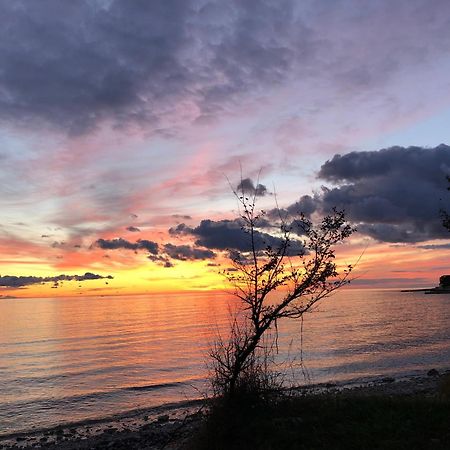 App Sorgo Novigrad (Istria) Exterior foto