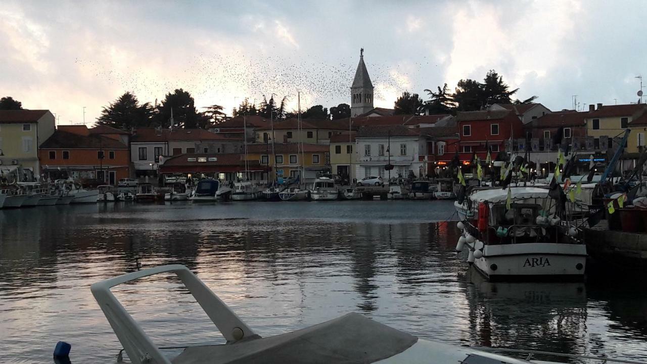 App Sorgo Novigrad (Istria) Exterior foto