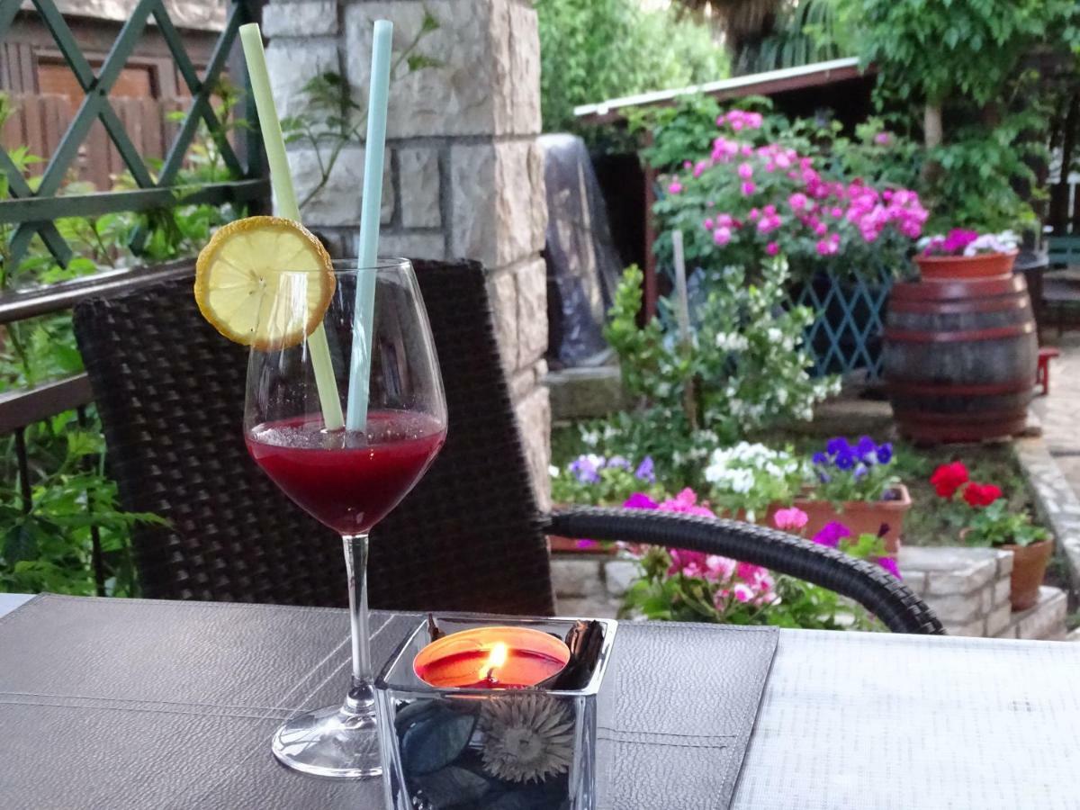 App Sorgo Novigrad (Istria) Exterior foto