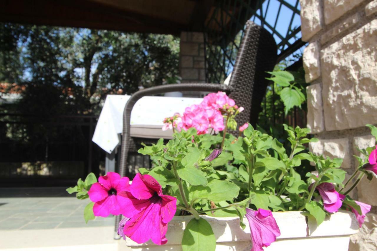 App Sorgo Novigrad (Istria) Exterior foto